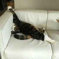 1588818411594781a1c9f1db817dc58c90633a5d