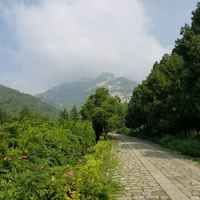 B77011532b5073c5d5fe6a3abbf96c98820006a6