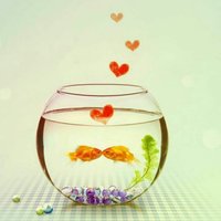 9d17d3e0faa9171c0c52badf30206d63c5224ce3