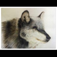 C5fe490d9e5e3ca03a632b453177cba60802d091