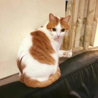 Fe770808742da7337799fae01a4734decd9baa27