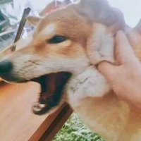 C5edca1f379ed89c0de7e591980eb9107998ec6d