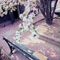 Bb78bb1b0576e5b291bf890b75432b686a8fb82b