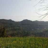 E7ba06891e94cee166c955c292de3d0f7bfe4ea9