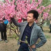 B151999b4de6bbc61b887082a265f419a18da404