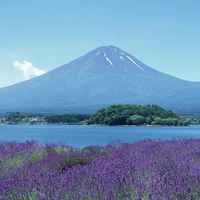 6eff410ec3f13c7d7f3cd5dfd68bfa3fed20dd91