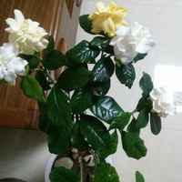 E9a7975d8e32c61ee73632fcb34c7341e8b7195d