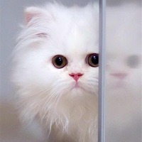 24ac6a2ca63edc4c8f9ee0511d46c308320a511b