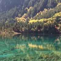 Cf0eeef20353e51dc88ef48aac0126c09ea42f81