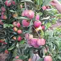 5a48bc7e77ac477cb439054c7b2fd922a03746e2