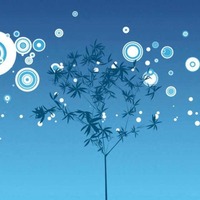 C67370550d1856437a315758d49e151e2acaaf73