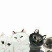 6439f1b47124f93da564d3c362ba3767038ad29b