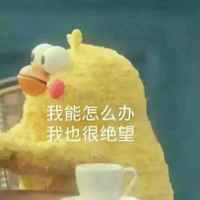 51fc0e762cd35f53cf07c2d34974d4dc41c41b83