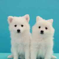 Ffdf018d30263dce2081e87bc926b86256b39a0d