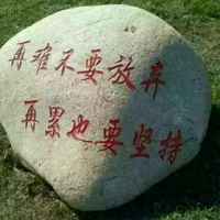 B8d9ea07fff950df6d262de0f6aa92a52c362d87