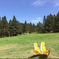 026efca87aedf41cc014512495df6b7755185d09