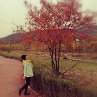 025a10c4069fd14e9dcf62c06b134ee3cf75c22d