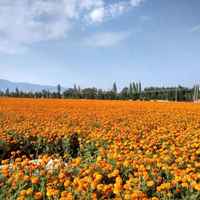 Dedb3bf53cfbaaea6c587e5e75c8d6256bba9763