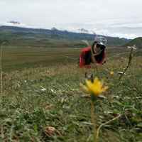 F57b877a7bceb8082aad0dfc246567cfa7381048