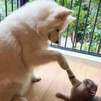 1d2bca9d13e7dad4d729ce69d582a670f957dcd7