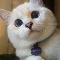 Ee107a33f84a2ab3eb70b71d770cc9b4e513884b