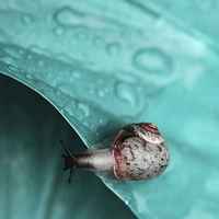 5d66e75e3e134517109e161c3c1da709e3a5884b