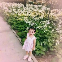 3bbaf744bb369d95d25a637129568b4472217828