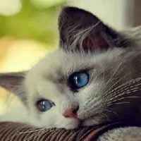 D07ee295c80bf764bcbf34899a6032f16a00ea13