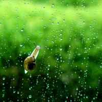 Fd7e562f84cea50846136f884622188bfabd5a68