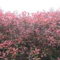 4f83cc939b6099d4e42b2bd1d10774fd269564c3