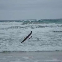 B82188c828f45454e9aa9bbbacf3be3472198555