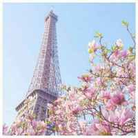 E285032e212486b1a9143aa7606ad80b01f53df2