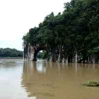 5595bd0322a66b08859072da5c2749121a0d8e68