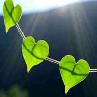 F6725640ba40163649e0cdc9a696448130aa8875