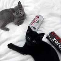 65d63724bbfd4f859ef4d6c5554ed8a3bf6f8d0f