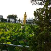 Bffa895b21e86fa917ca2405da82e19ebe9a9094