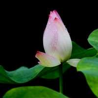 D5bd4b1bfca8d78d266b1200bc942d761419f69b