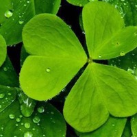 A092a6d63ac3843112e452305a0a26c2b52da214