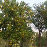 Ff2cda65fe2eb73af540b6983ed662ce0871fc78