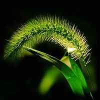 A6da78eddb583744a243e83f9612bebc57a1a16a