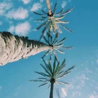 2708894327523ca5eb9e934f879ac0a2df7131f2