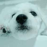 534a17c9a4e77680d5e9a71fe8d02bb9a06abff6