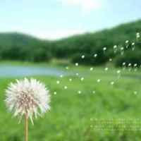 0f70ae9fb7adef35576aff734d70a4744d5cea66