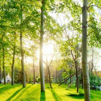 162de6dca751c0089d294237cefac299e77aaeab