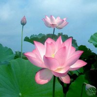 49bfbc43d47dabb562531ecd910f22a38ca6cfec