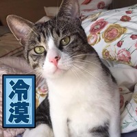 4e143d49f0545d8f7e039dbf5432b2291524b95e