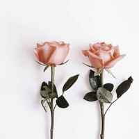 Ffb2884446e9a72beac68c77f13779762c172356