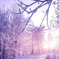 4752acb195e331cd19f7001a4e44441173c3b1d7