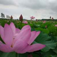 Abc0dd9357a4d1bfeb79560ca4e90ff2c2c968e7