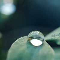 A74980247c629538aaaddde9981ed1429a97b79e